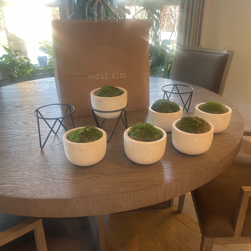 West Elm Iris Planters with Stand-New